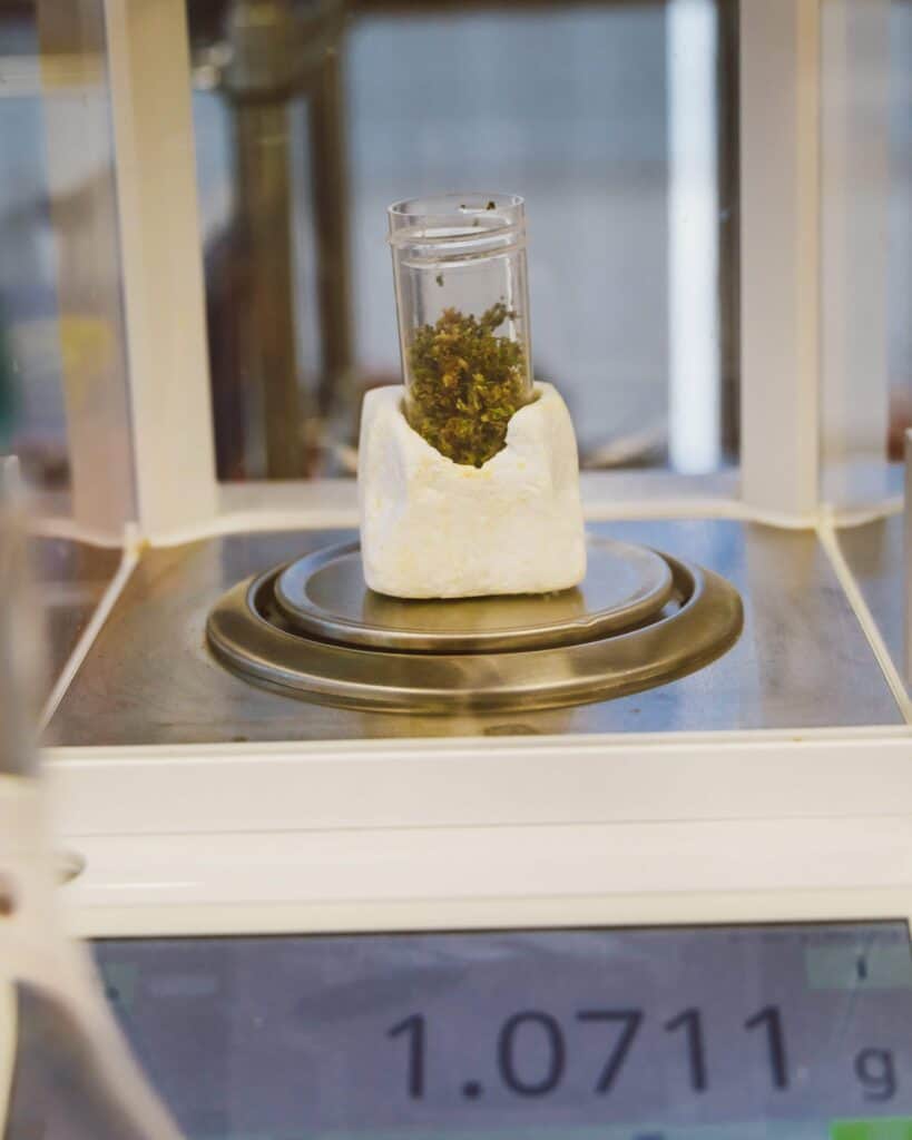 Wie lange ist THC in Urin und Blut nachweisbar? 