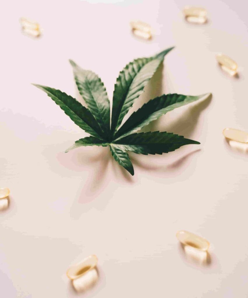 Cannabissorten Cannabissorten