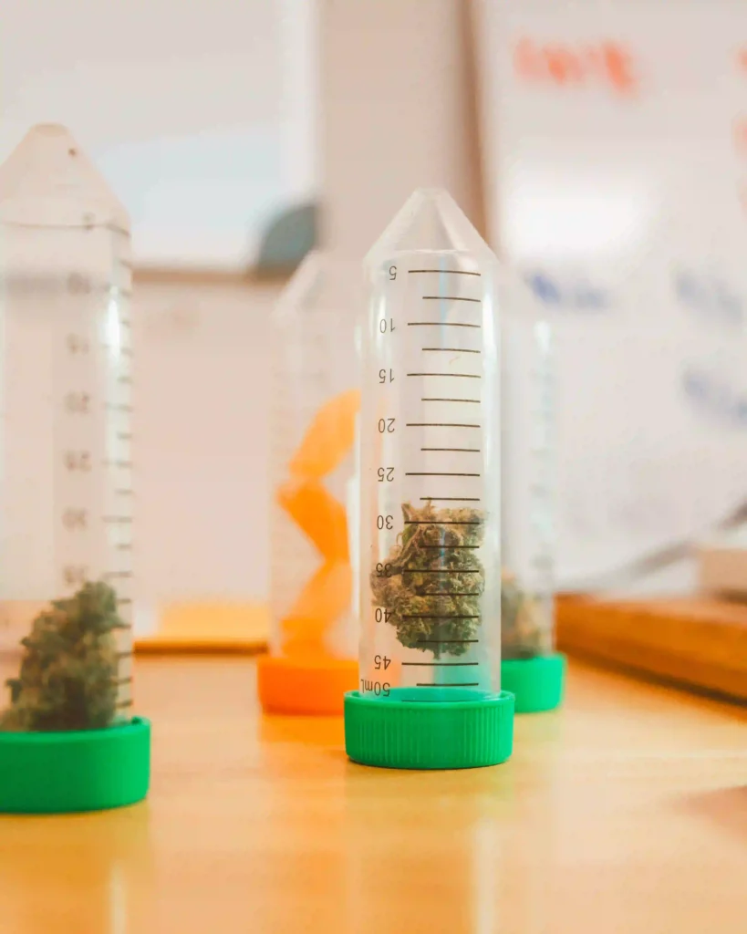 white widow Dosierung white widow