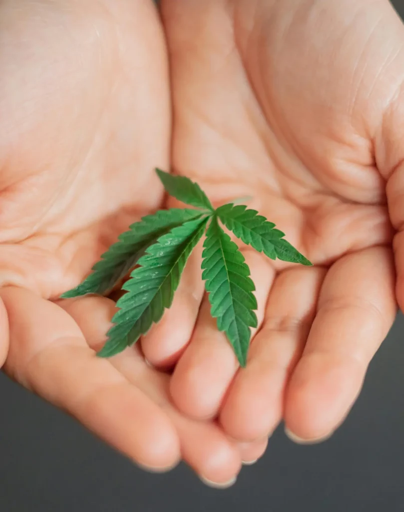 cannabis kostenübernahme