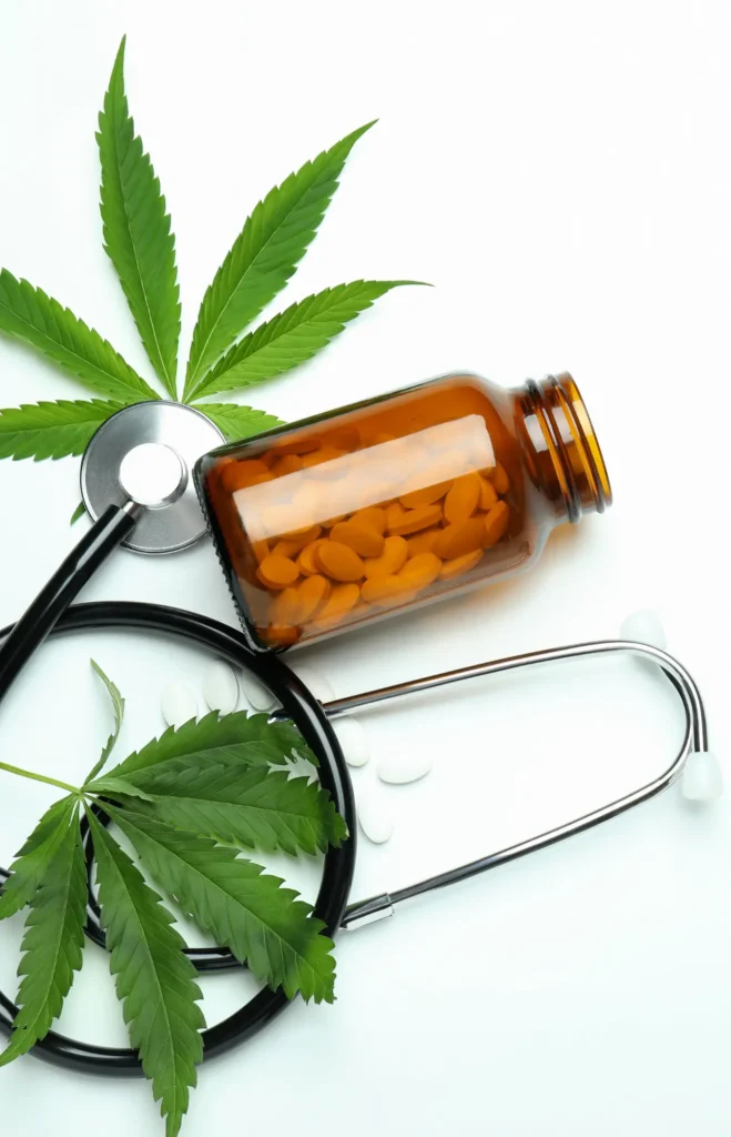 Flavonoide und der Entourage Effekt